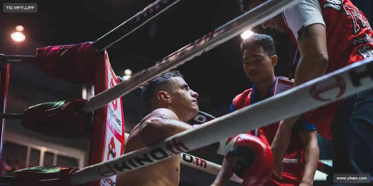 星空综合官网——🤼摔跤缠斗，刚柔并济！